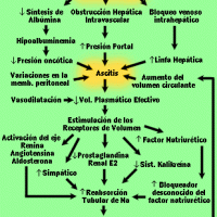 ascitis