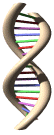 DNA - genética en hepatitis c