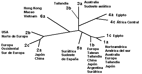 Distribución de los genotipos por país o región
