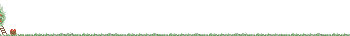 casa4.gif