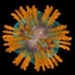 virus-de-la-hepatitis-c-hcv.jpg