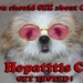 hepatitis-c-dog-2.jpg