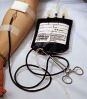 donar_sangre.jpg