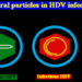 hdv-1.gif