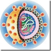 Epidemia de hepatitis c en México