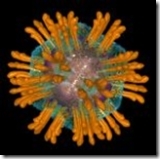 hepataaaaaaaaitis_thumb5B15D.jpg