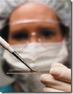 trasplante-hepatocitos_thumb5B15D.jpg