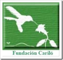 fundacioncariloconciertopinamar_thum2.jpg