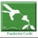 fundacioncariloconciertopinamar_thum2.jpg