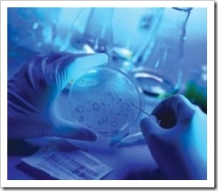 investigacion-1_thumb5B65D.jpg