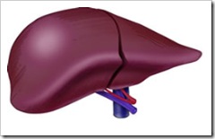 hepatitis-liver