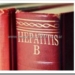 hbv-vhb