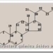 estructura-quimica-acidos-biliares