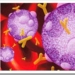 hep-c-hcv