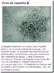 hepatitisb1