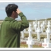 veteranos de malvinas hepatitis c y b