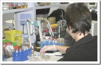 investigacion