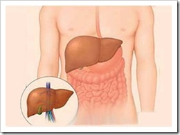 hepatitint