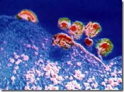 VIRUS DEL SIDA
