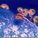 VIRUS DEL SIDA