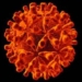 aewionjfcwin12777.jpg