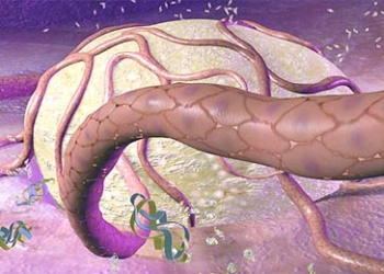 cancer-hepatico-higado.jpg