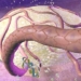 cancer-hepatico-higado.jpg
