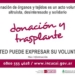 dia-de-la-donacion-de-organos.jpg