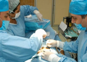 la-capital-donacion-trasplante.jpg