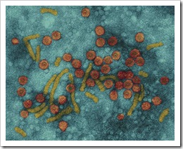 hepatitis B C bristol myers squibb asia
