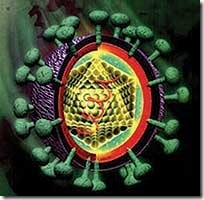hepatitis_c