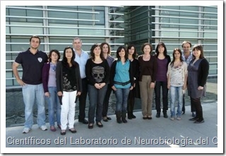 cientificos cipf alteraciones cerebrales por fallo hepatico higado