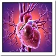 corazon e higado trasplante