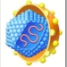 hepatitis virus