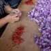 azafran-hepatitis.jpg