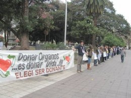 donacion-higado.jpg
