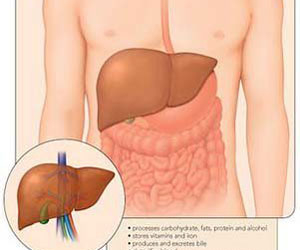 hepatitis.jpg