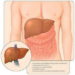 hepatitis.jpg