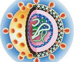 hepatitisc.jpg