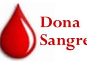 donar-sangre-segura.jpg