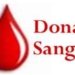donar-sangre-segura.jpg