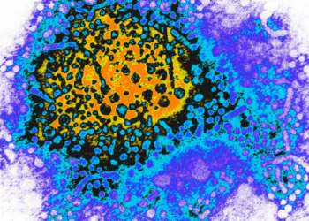 hepatitis-b-virus.jpg