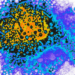 hepatitis-b-virus.jpg