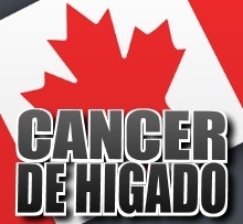 cancer-higado-liver-canada-toronto.jpg