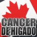cancer-higado-liver-canada-toronto.jpg