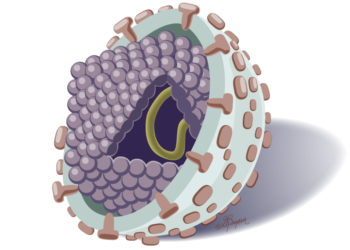hepatitis-c-virus.png