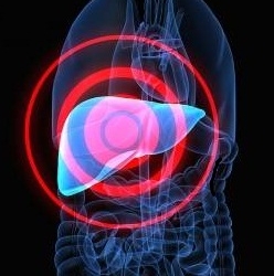 higado-virtual-para-extirpar-tumores-hepaticos.jpg