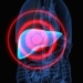 higado-virtual-para-extirpar-tumores-hepaticos.jpg