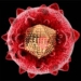 virus-hepatitis-c.jpg