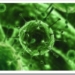 virus-1